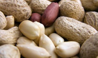 花生的营养价值与功效 花生的营养价值与功效百度百科