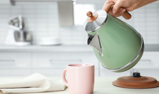 不锈钢与铝水壶哪个好（铝制水壶好还是不锈钢的好）
