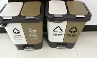 干冰属于什么垃圾（干冰是干垃圾还是湿垃圾）