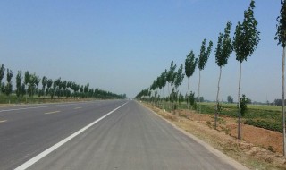 县道和乡道的区别(县道和乡道的区别图片)