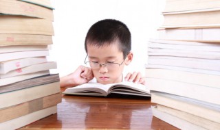 杈组词（杖组词）