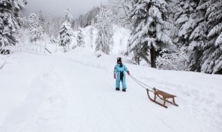 2022北京冬奥会标志 2022北京冬奥会标志图