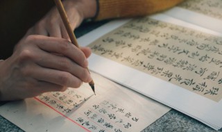 栅的拼音（栅的拼音怎么读）