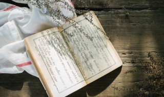 盎的拼音 盎的拼音怎么读