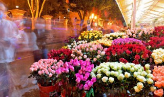 老婆生日送什么花最好(老婆生日送什么花最好,几朵)