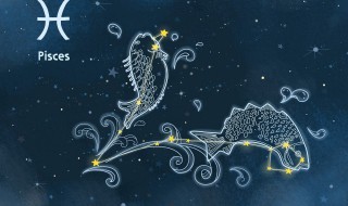 9月8号是什么星座(9月8号是什么星座的人)