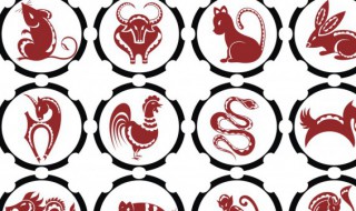 18年属什么生肖（1893年属什么）