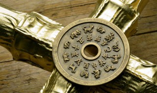 20年属什么生肖（20年属什么生肖年）