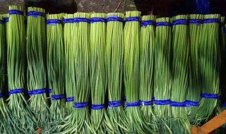 抽蒜薹怎样不伤蒜（大蒜不抽薹）