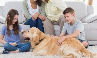 如何处理孩子厌学问题(孩子厌学的解决方法)