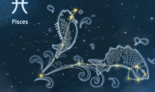 218是什么星座 农历218是什么星座