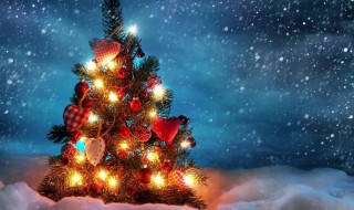 圣诞节的由来英语 圣诞节的由来英语版