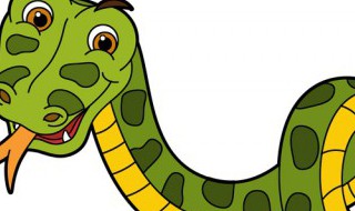 01年属什么生肖(00年属什么生肖)