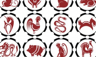 51年属什么生肖 51年属什么生肖的男人