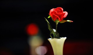 国际妇女节的由来（国际妇女节的由来,背景）