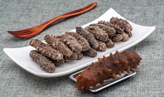 干海参泡发后能保存多久（干海参泡发后能放多久）