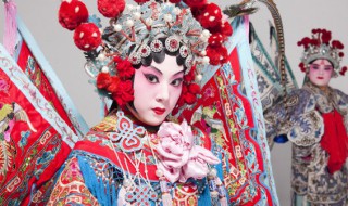 京剧中的净指的是什么（京剧中的净指的是什么意思）