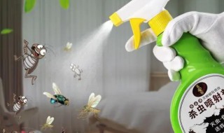 房间里放什么可以驱蟑螂 房间怎么驱蟑螂
