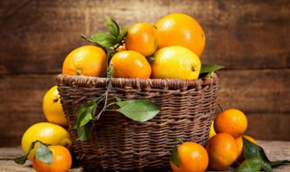 橘子怎么挑选公母 怎样挑选橘子的公母