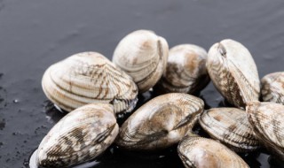 洗花甲的正确方法（花甲的洗法怎样的?）