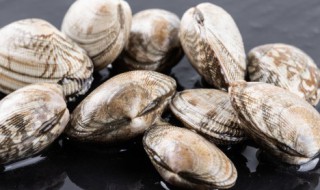 花甲用盐水泡了会死吗（花甲盐水泡一夜会死吗）