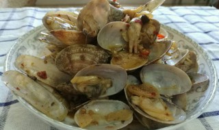 为什么蛏子比花甲贵 花甲贵还是蛏子贵