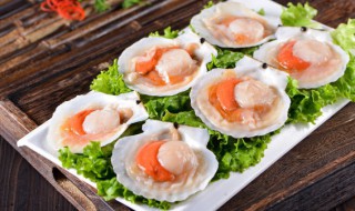 扇贝壳属于哪类垃圾 扇贝贝壳属于什么垃圾