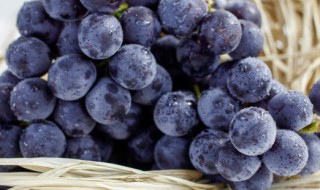 柿子和葡萄能一起吃吗（柿子能跟葡萄一起吃吗）