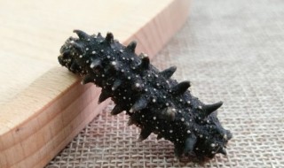 干海参一直用冷水发泡可以吗 海参可以用冷开水泡发吗