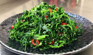 苙芥怎么做好吃（荆芥怎么吃）