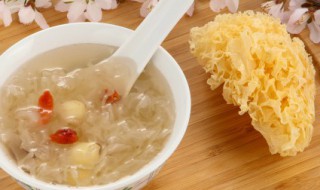 丑耳泡一夜再煮可以吗 丑耳泡好放第二天炖可以吗