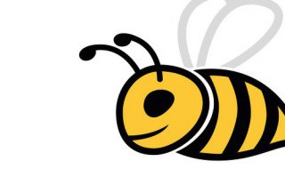 养蜜蜂的技巧与方法 养蜜蜂的技巧和方法