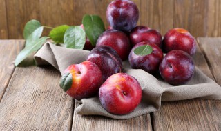 李子树怎么剪枝（刚栽的李子树怎么剪枝）