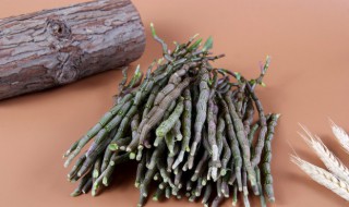 石斛怎么养好（石斛怎样盆栽家养）