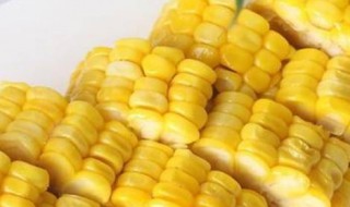 玉米凉水下锅煮几分钟 冷水下锅玉米煮几分钟