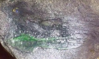 翡翠原石蟒带 翡翠原石蟒带特征百度百科