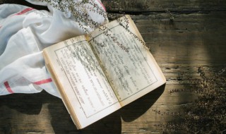 带家字的诗句（带家字的诗句300首）