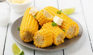 玉米核坚果壳属于什么垃圾（玉米核坚果壳属于什么垃圾分类）