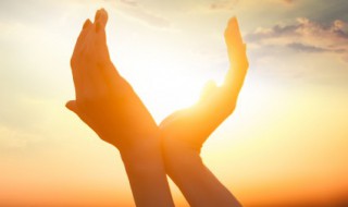 后羿射下的太阳是什么鸟（后羿射日的太阳鸟是什么鸟）