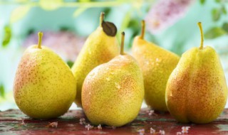 梨茶怎么熬窍门（梨茶怎么熬制家庭做法）