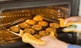 电烤炉空气炸锅 电烤炉空气炸锅用法视频