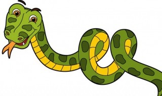 梦见鱼和蛇是什么意思（做梦梦见鱼和蛇是什么意思）