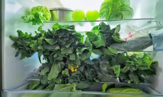 塑料袋装蔬菜可以放冰箱吗（新鲜蔬菜用塑料袋装着放冰箱,好吗）