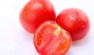 怀孕可以吃西红柿吗(怀孕可以吃西红柿吗中期)