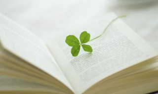 讶可以组什么词 诱可以组什么词