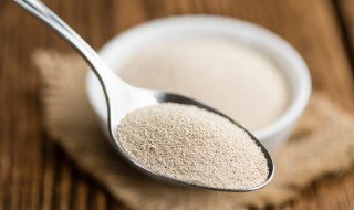 温度太高酵母会失效吗 酵母在高温下会失效吗