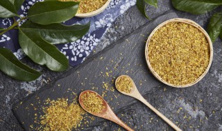 秋季有什么花 秋季有什么花粉过敏