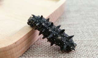 海参里面的白色的筋能吃吗 海参白色内筋