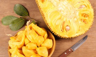 菠萝蜜好处 菠萝蜜好处与禁忌
