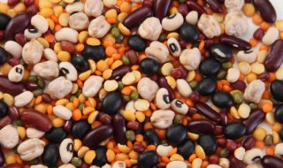 豆类有哪些 豆类有哪些品种
